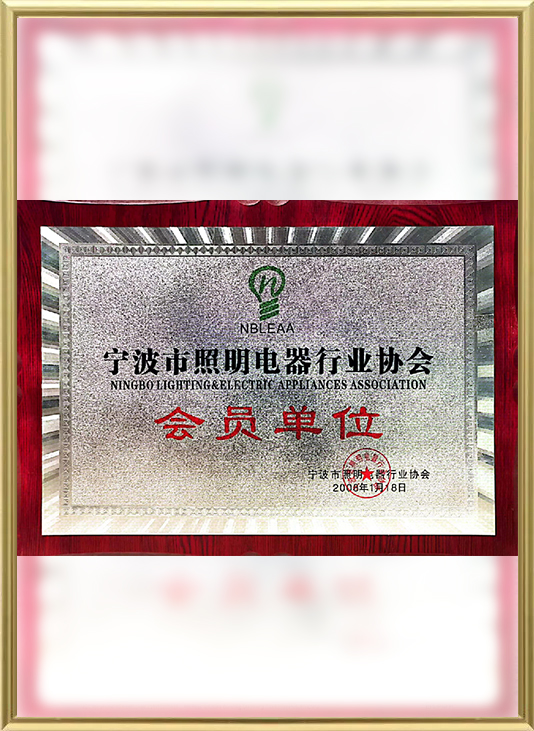 Certificaat-9