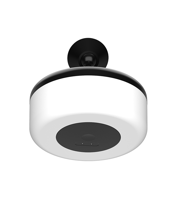 Welke LED-buitenlampen zijn het beste voor het benadrukken van landschapselementen en tuinen?